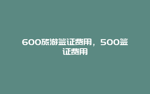 600旅游签证费用，500签证费用