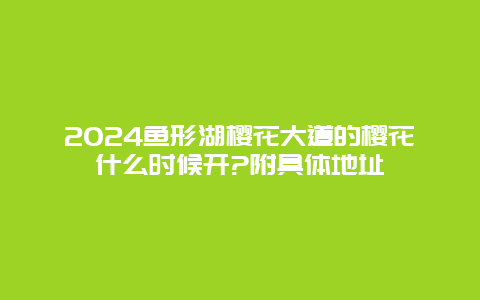 2024鱼形湖樱花大道的樱花什么时候开?附具体地址