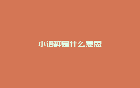 小语种是什么意思