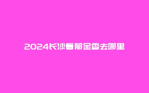 2024长沙看郁金香去哪里