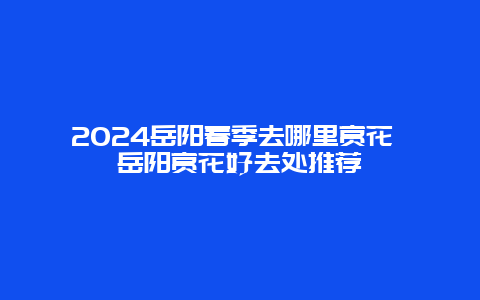 2024岳阳春季去哪里赏花 岳阳赏花好去处推荐