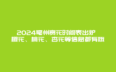 2024亳州赏花时间表出炉 樱花、桃花、杏花等信息都有哦