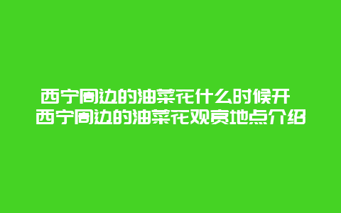 西宁周边的油菜花什么时候开 西宁周边的油菜花观赏地点介绍