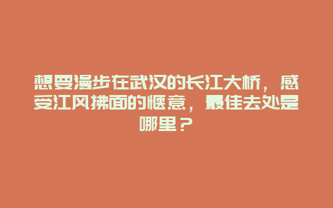 想要漫步在武汉的长江大桥，感受江风拂面的惬意，最佳去处是哪里？