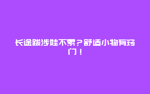 长途跋涉娃不累？舒适小物有窍门！