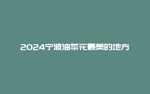 2024宁波油菜花最美的地方