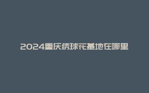 2024重庆绣球花基地在哪里