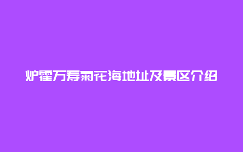 炉霍万寿菊花海地址及景区介绍