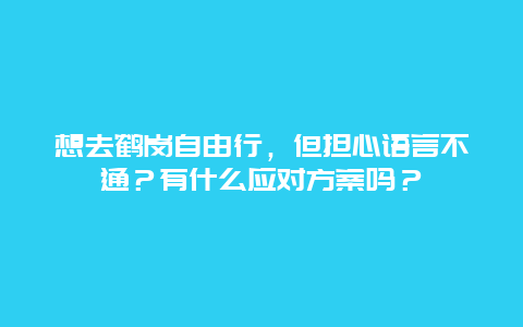 想去鹤岗自由行，但担心语言不通？有什么应对方案吗？