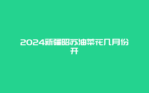 2024新疆昭苏油菜花几月份开