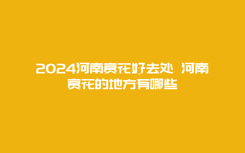 2024河南赏花好去处 河南赏花的地方有哪些