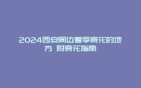 2024西安周边春季赏花的地方 附赏花指南