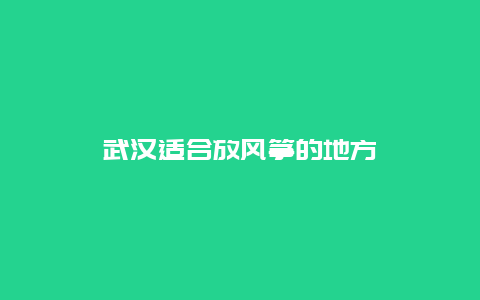 武汉适合放风筝的地方