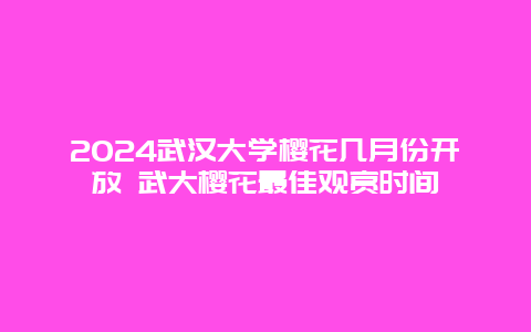 2024武汉大学樱花几月份开放 武大樱花最佳观赏时间