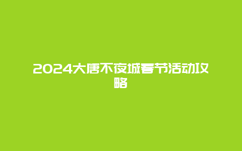 2024大唐不夜城春节活动攻略