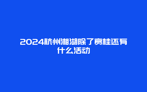 2024杭州湘湖除了赏桂还有什么活动