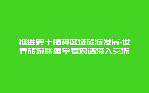 推进襄十随神区域旅游发展-世界旅游联盟学者对话深入交流