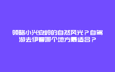 领略小兴安岭的自然风光？自驾游去伊春哪个地方最适合？