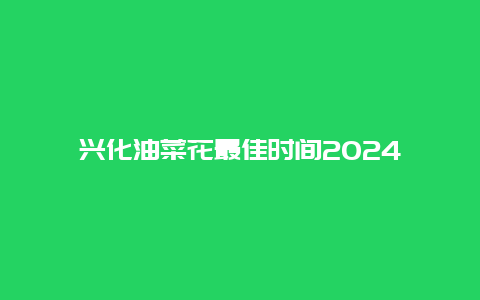 兴化油菜花最佳时间2024