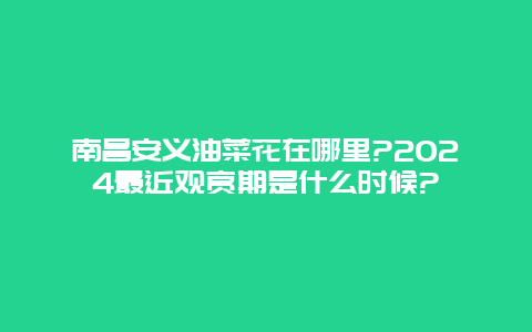 南昌安义油菜花在哪里?2024最近观赏期是什么时候?