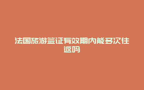 法国旅游签证有效期内能多次往返吗