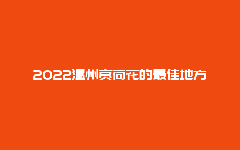 2022温州赏荷花的最佳地方