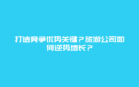 打造竞争优势关键？旅游公司如何逆势增长？