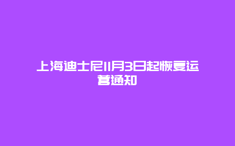 上海迪士尼11月3日起恢复运营通知