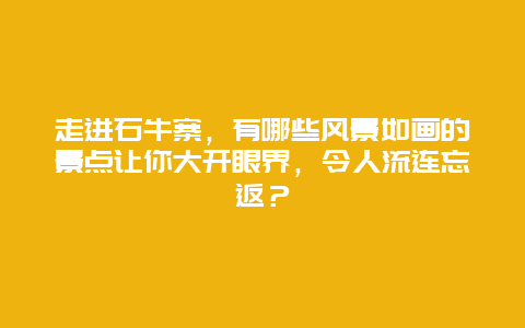 走进石牛寨，有哪些风景如画的景点让你大开眼界，令人流连忘返？