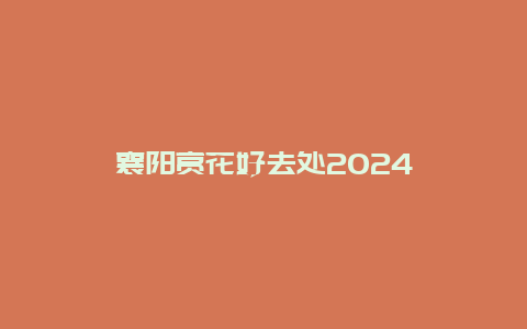 襄阳赏花好去处2024