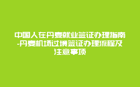 中国人在丹麦就业签证办理指南-丹麦机场过境签证办理流程及注意事项