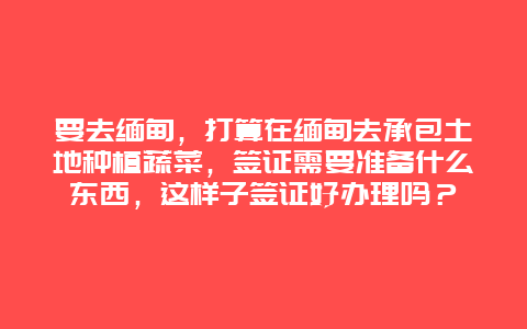 要去缅甸，打算在缅甸去承包土地种植蔬菜，签证需要准备什么东西，这样子签证好办理吗？