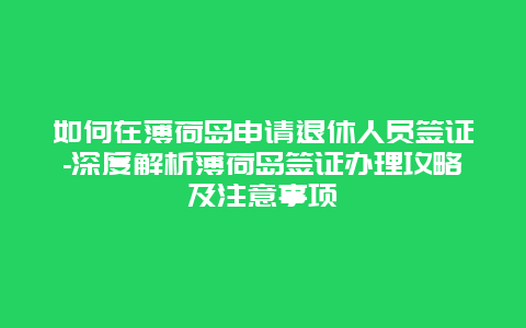 如何在薄荷岛申请退休人员签证-深度解析薄荷岛签证办理攻略及注意事项