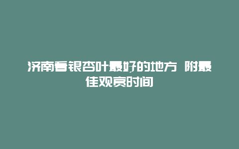 济南看银杏叶最好的地方 附最佳观赏时间