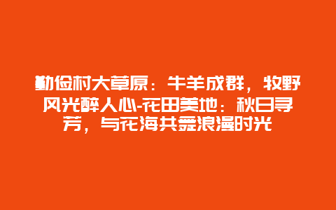 勤俭村大草原：牛羊成群，牧野风光醉人心-花田美地：秋日寻芳，与花海共舞浪漫时光