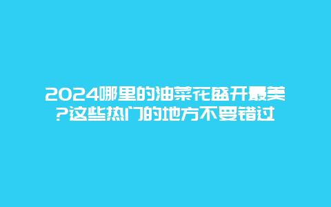 2024哪里的油菜花盛开最美?这些热门的地方不要错过