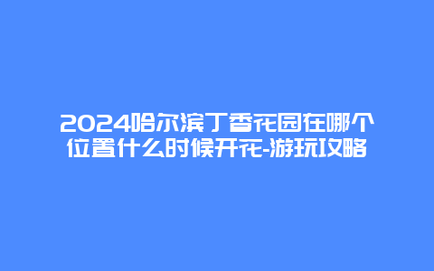 2024哈尔滨丁香花园在哪个位置什么时候开花-游玩攻略