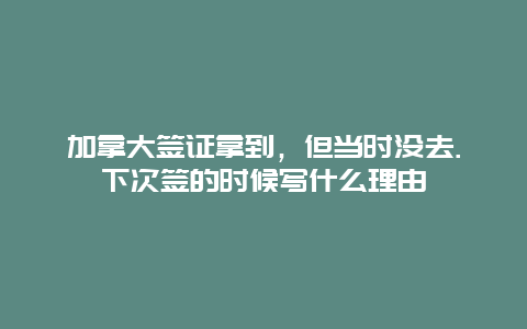 加拿大签证拿到，但当时没去.下次签的时候写什么理由