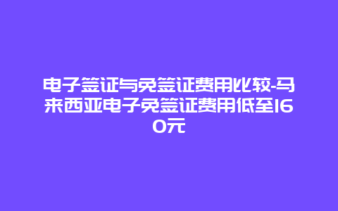 电子签证与免签证费用比较-马来西亚电子免签证费用低至160元