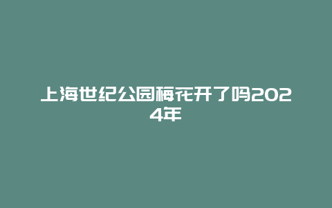 上海世纪公园梅花开了吗2024年