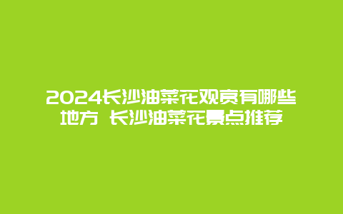 2024长沙油菜花观赏有哪些地方 长沙油菜花景点推荐