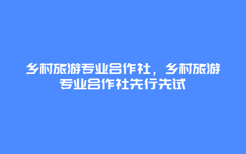 乡村旅游专业合作社，乡村旅游专业合作社先行先试