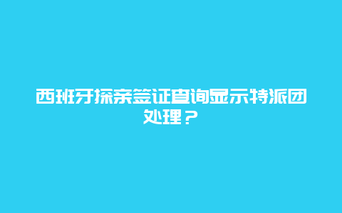 西班牙探亲签证查询显示特派团处理？