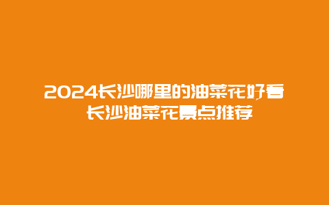 2024长沙哪里的油菜花好看 长沙油菜花景点推荐