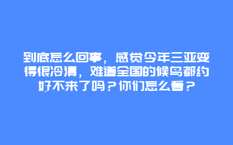 到底怎么回事，感觉今年三亚变得很冷清，难道全国的候鸟都约好不来了吗？你们怎么看？