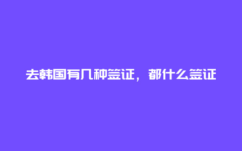 去韩国有几种签证，都什么签证