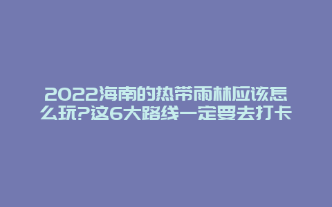 2022海南的热带雨林应该怎么玩?这6大路线一定要去打卡