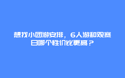 想找小团游安排，6人游和观赛日哪个性价比更高？