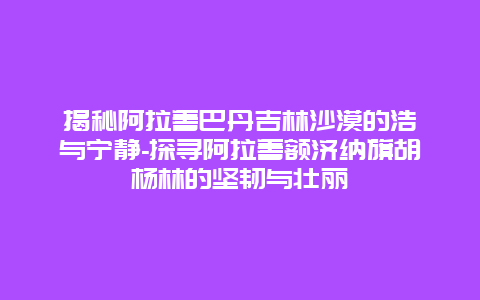 揭秘阿拉善巴丹吉林沙漠的浩瀚与宁静-探寻阿拉善额济纳旗胡杨林的坚韧与壮丽