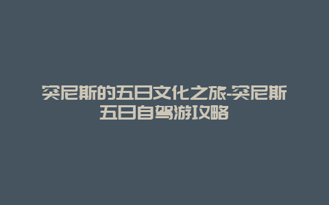 突尼斯的五日文化之旅-突尼斯五日自驾游攻略